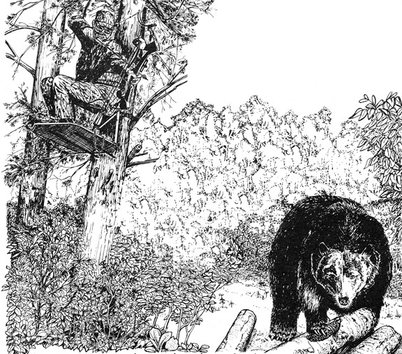 Drawing shows how Doc sets up Black Bear hunters with the perfect shot.